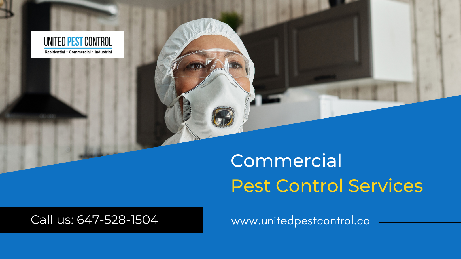 Importance of Pest Control to Slay All CreepyCrawlies