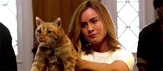 MCU: 10 Things You Might Not Know About CAPTAIN MARVEL - Warped Factor