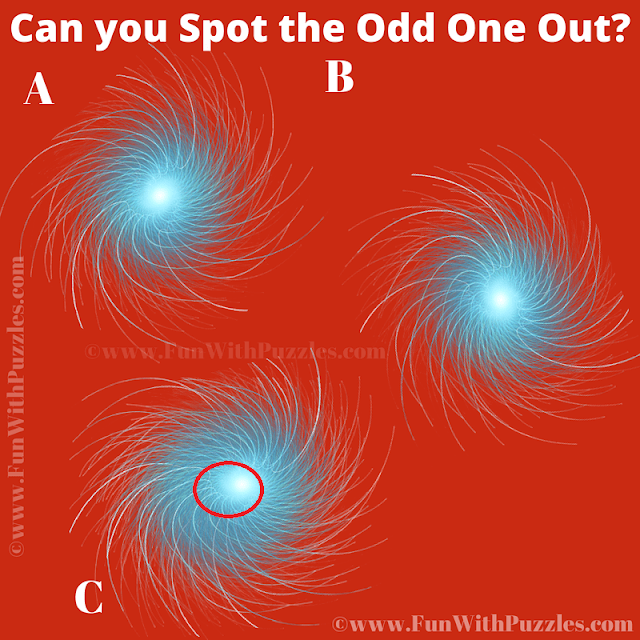 Spot the Difference for Kids: Easy Odd One Out Puzzle Answer