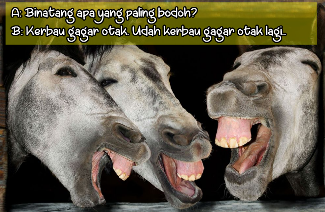 Tebak Tebakan Lucu Tebak Tebakan Lucu Banget Tebak Tebakan Lucu Buat Pacar Tebak Tebak Tebakan Lucu Tebak Tebakan Lucu Banget Tebak Tebakan Lucu Buat Pacar Tebak