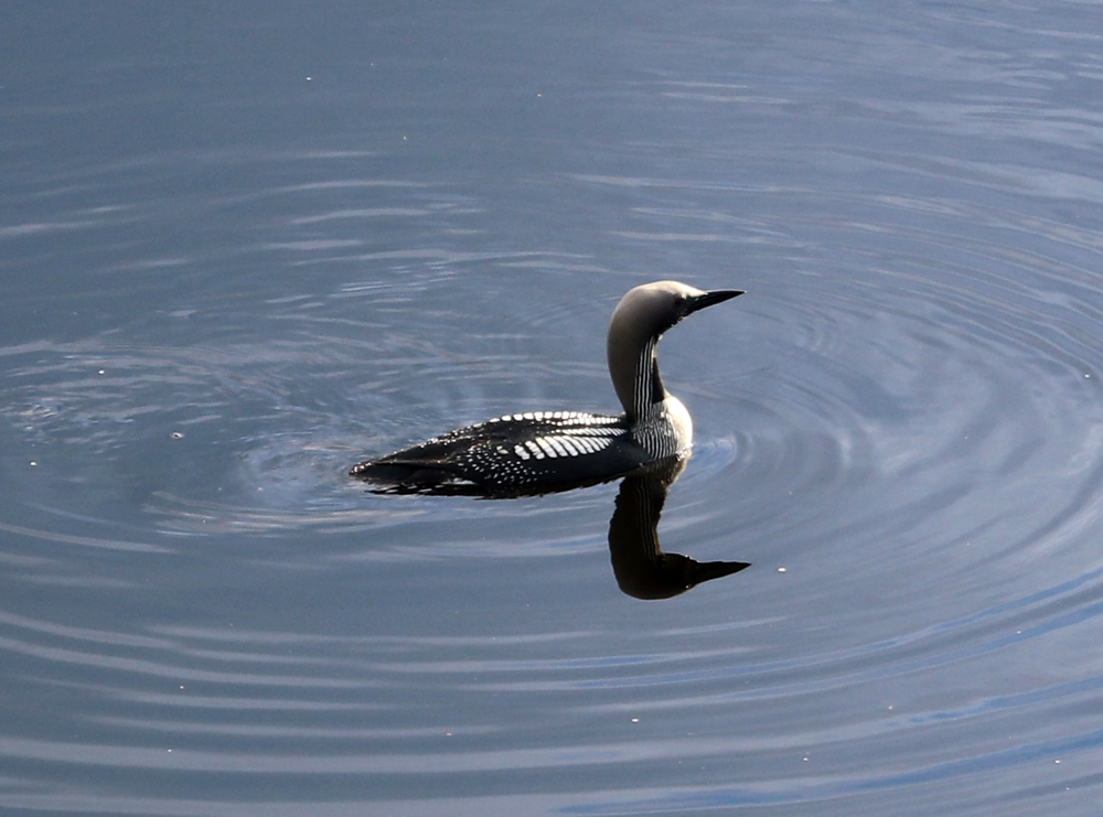 Keski-Suomen roadtrip 21 Keski-Suomen roadtrip 20