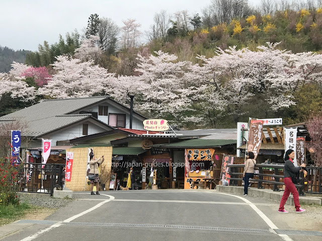 Hanamiyama Sakura