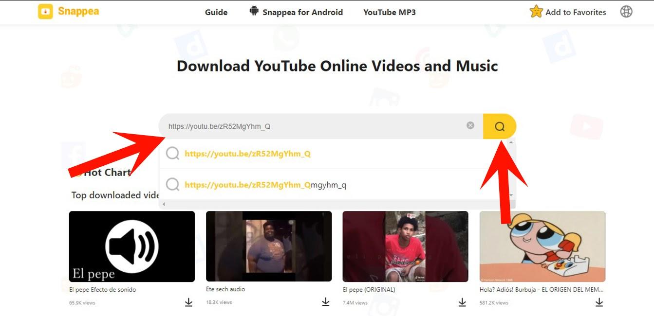 YouTube Videos Downloader Snappea