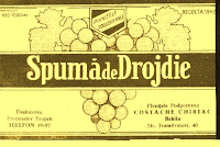 Rachiul de drojdie