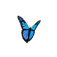 Allah- gif