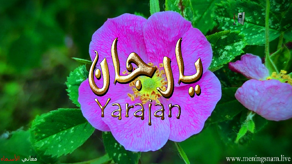 معنى اسم يارجان, وصفات حاملة, و حامل, هذا الاسم, Yarjan,