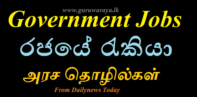 Government Vacancies - (Dailynews)