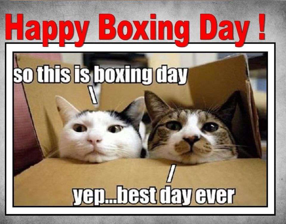 Boxing Day Wishes for Instagram