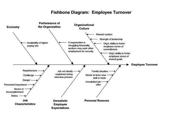 Fishbone diagram image