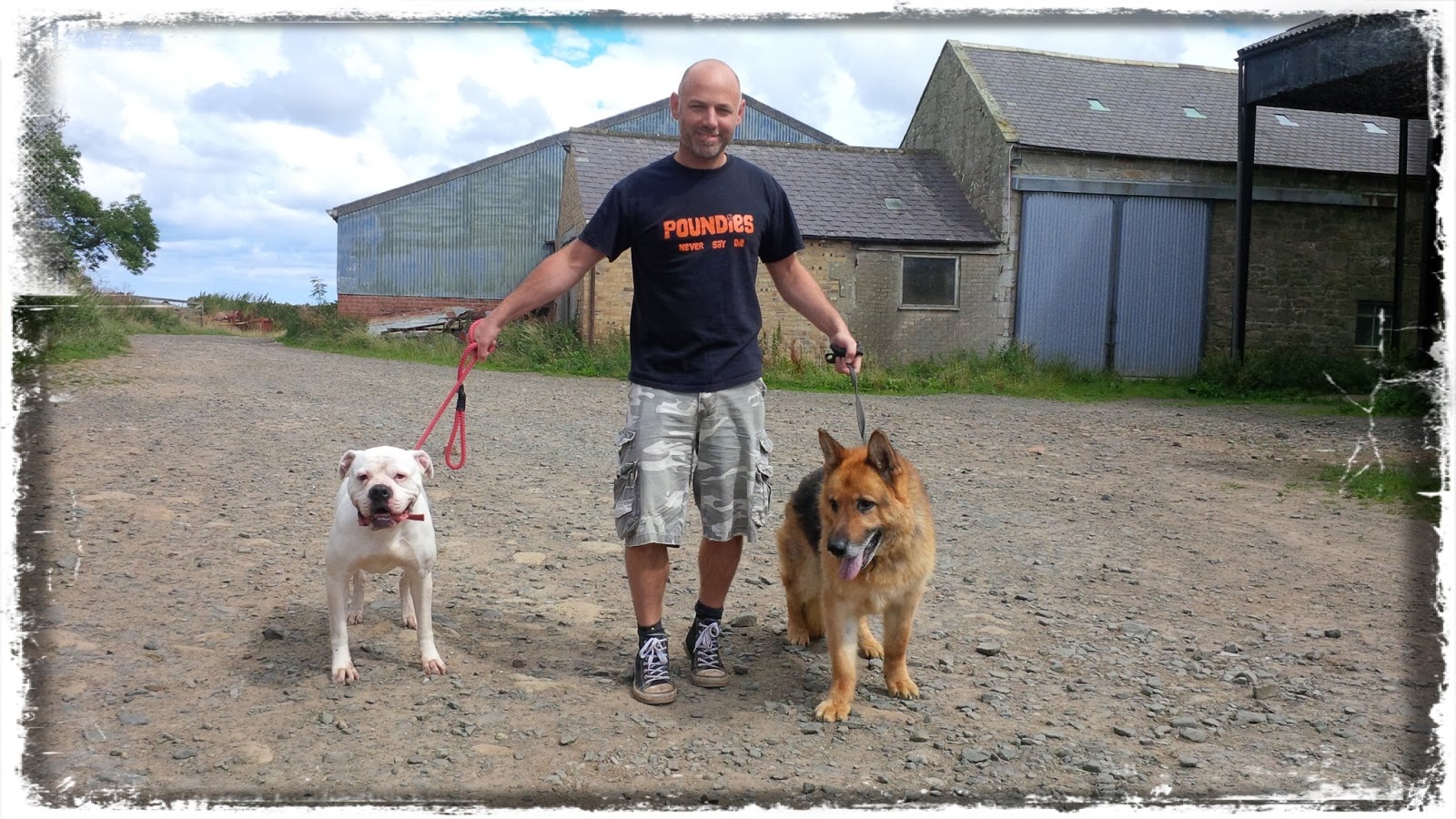 "It's A Dog's Life"..... SHAK (Safe Homes And Kindness): Teaching An