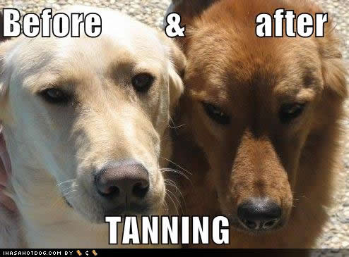 The teach Zone: Funny Animals Pics, Funny Animals Pictures The teach Zone: Funny Animals Pics, Funny Animals Pictures