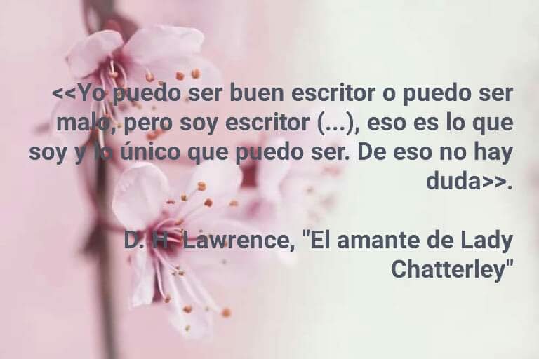 El cuaderno secreto de Lola