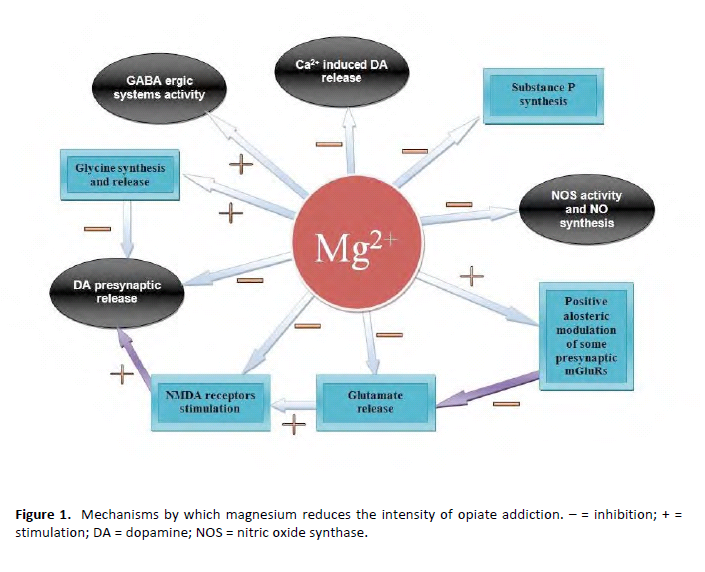 Epiphany Magnesium in Autism and other Neurological/Psychiatric Diseases