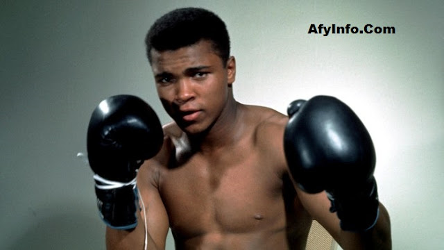 afyinfo.com afyinfo.com