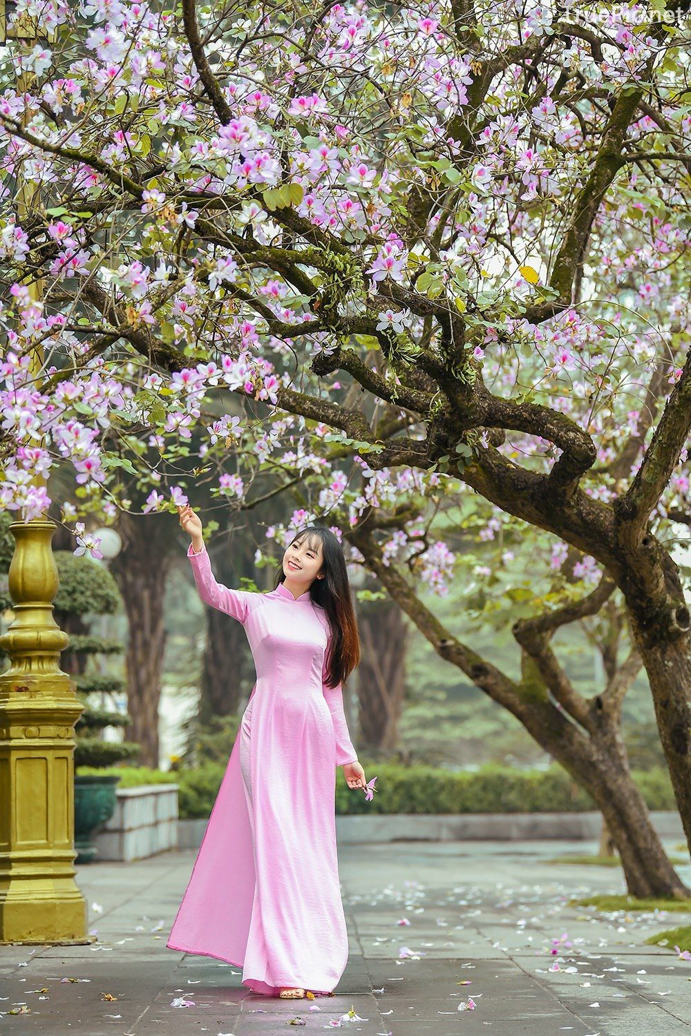 Dreamy purple of Ao Dai - Gentle and Soft of beautiful girls - Vietnamese traditional dress