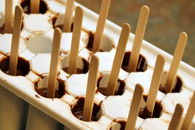Hot Chocolate on a Stick Hot Chocolate on a Stick - Turtles and Tails blog