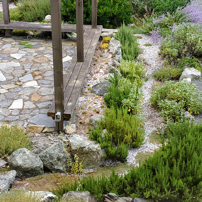 a new succulent and sedum garden bed succulent and sedum garden bed