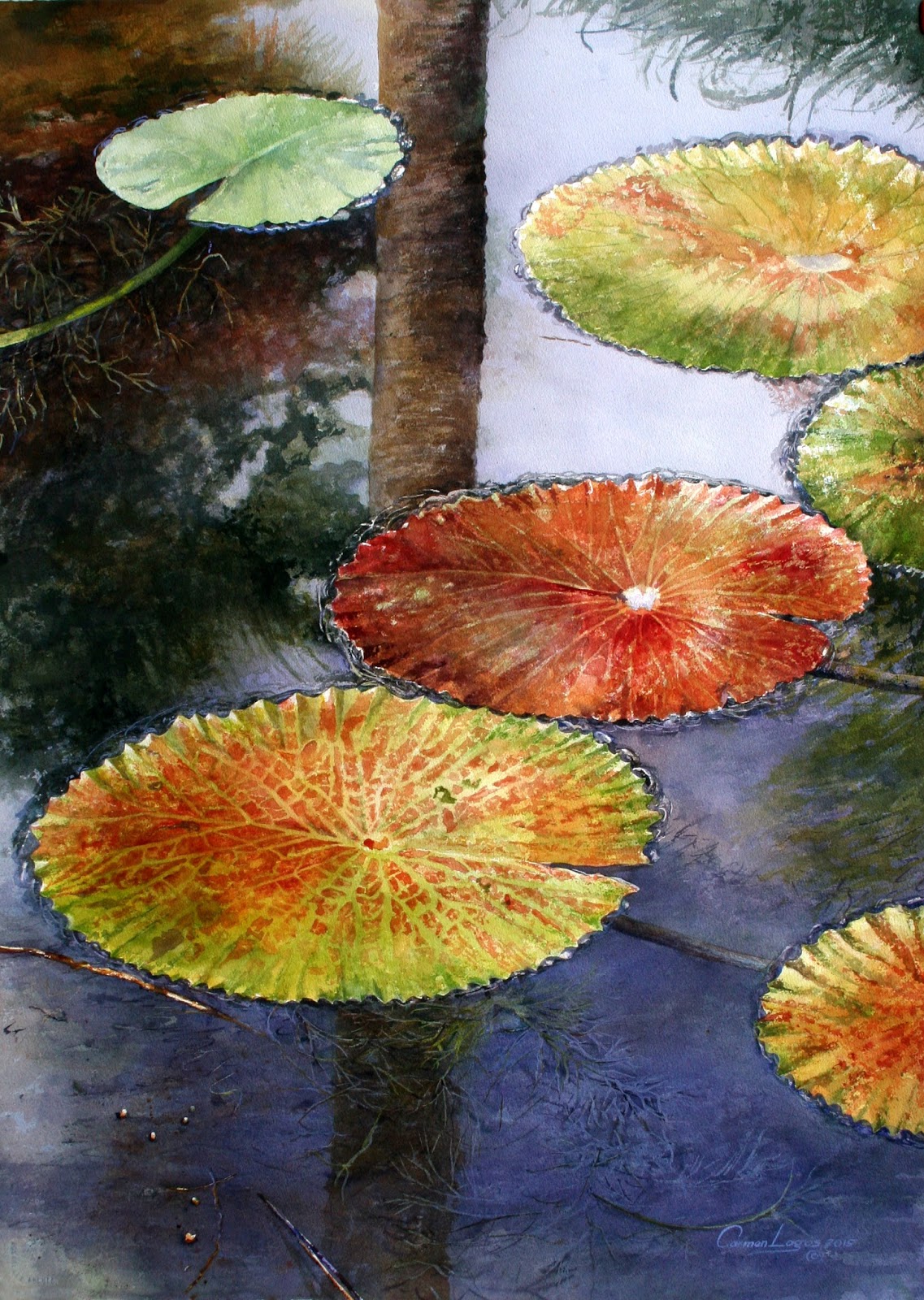 Carmen Lagos Watercolors