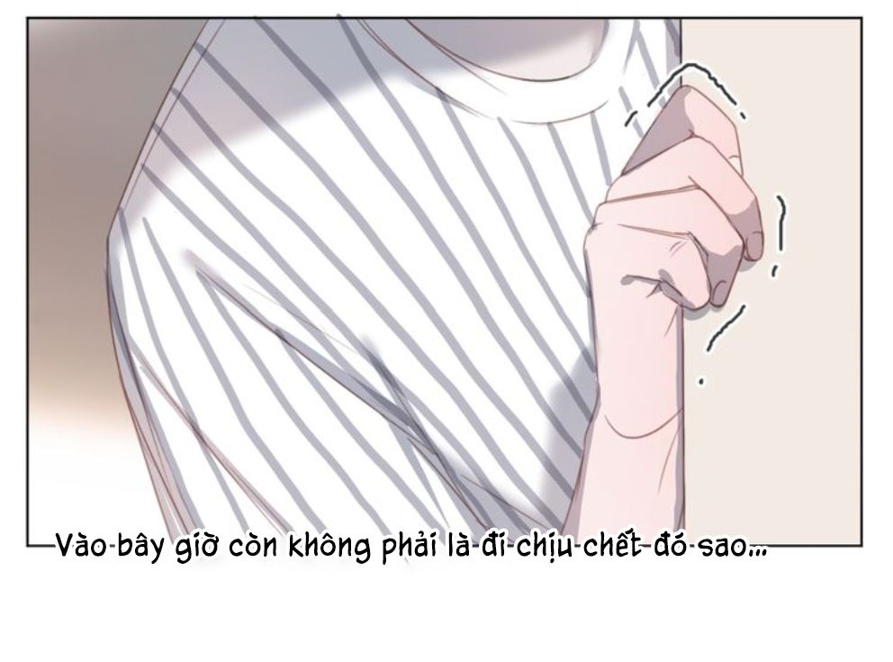 Đọc truyện Thế giới của một chú mèo - Chapter 14