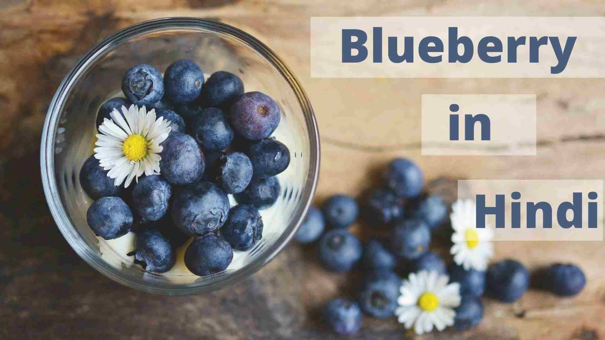 Blueberry in Hindi ब्लूबेरी के फायदे और नुकसान Nirzara