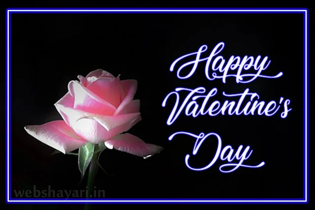 pink  rose happy valentines day hd