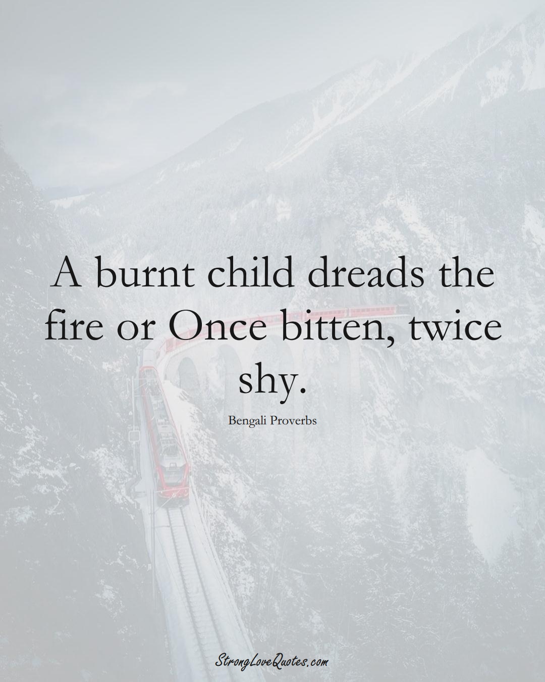 A burnt child dreads the fire or Once bitten, twice shy. (Bengali Sayings);  #AsianSayings