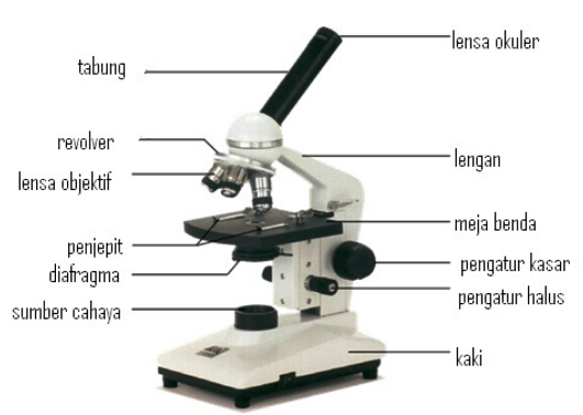 Fungsi Mikroskop Serta Bagian Dan Jenisnya