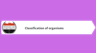 Classification of organisms