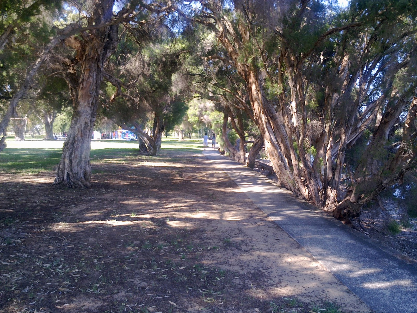 Bibra Lake A Singaporean In Australia