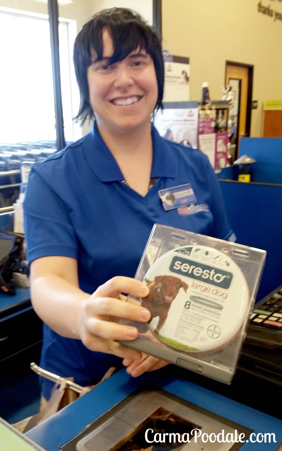 Carma Poodale Why You Should Be Worried About Fleas And What They Do