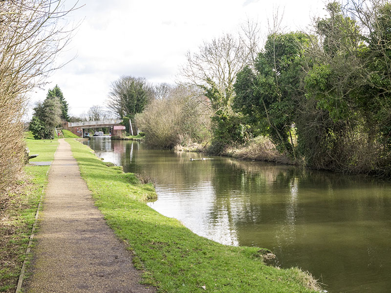Floodplain Forest to Linford Lakes Circular Walk Milton Keynes Walking
