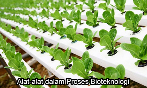Agroteknologi.web.id Sumber Informasi Pertanian Indonesia