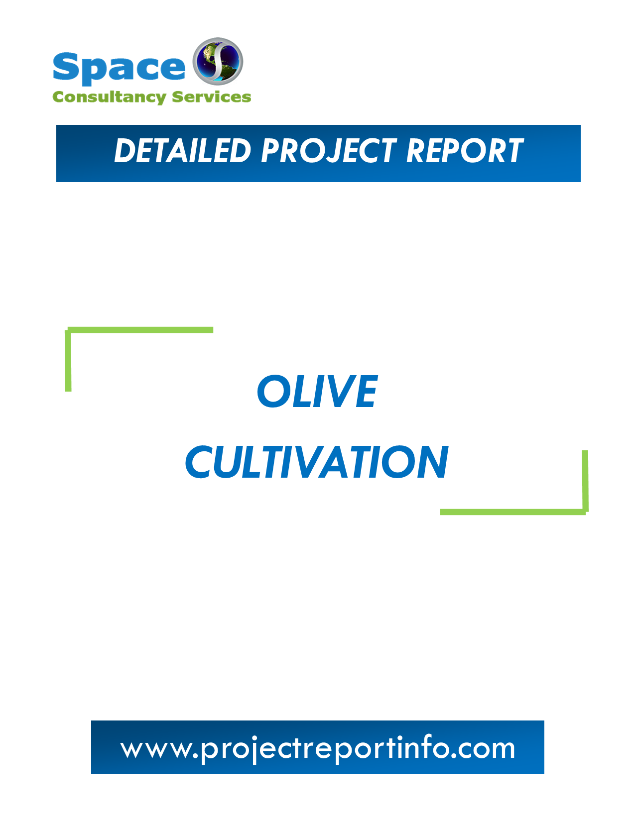 olive farming business plan