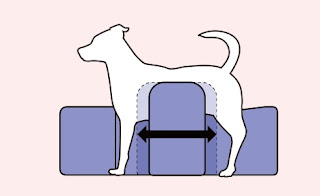regulagem lateral do cão