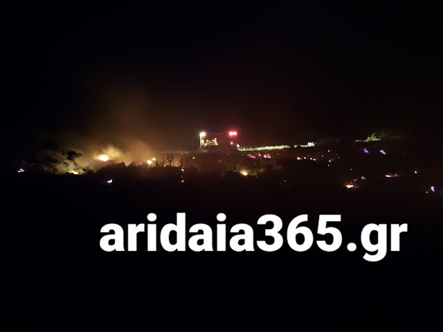 Πυρκαγιά στο Γαρέφι Αλμωπίας στην Αριδαία Πυρκαγιά στο Γαρέφι Αλμωπίας στην Αριδαία