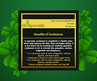 Benefits of Cardamom by Dr Ayurveda Official