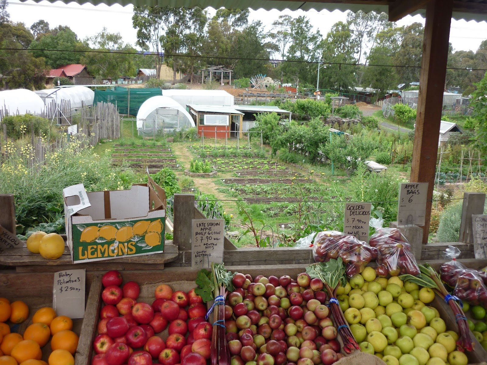 Ceres Environmental Park, Melbourne