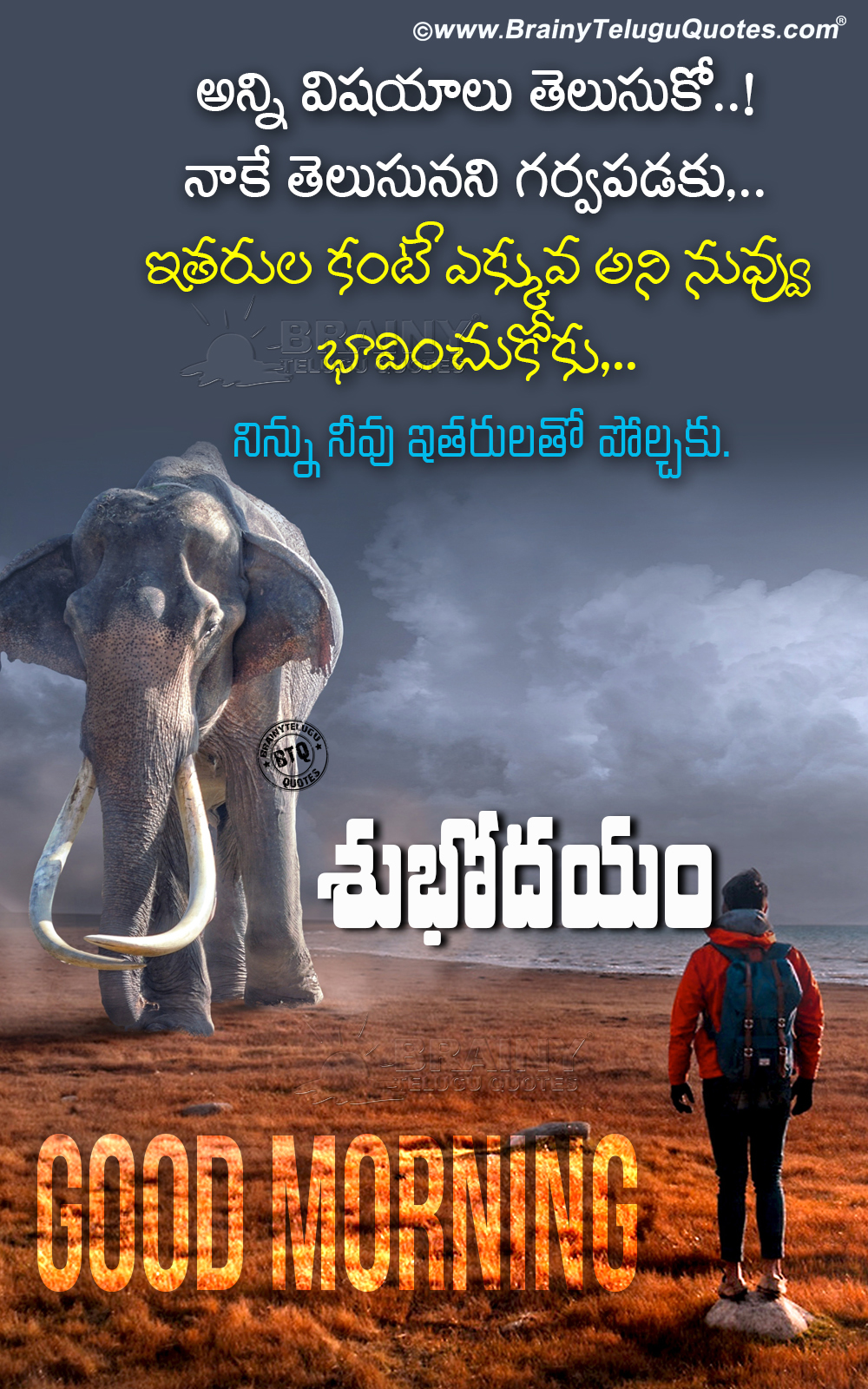 Self Motivational Telugu Subhodayam Good Morning Quotes Greetings Brainyteluguquotes Comtelugu Quotes English Quotes Hindi Quotes Tamil Quotes Greetings