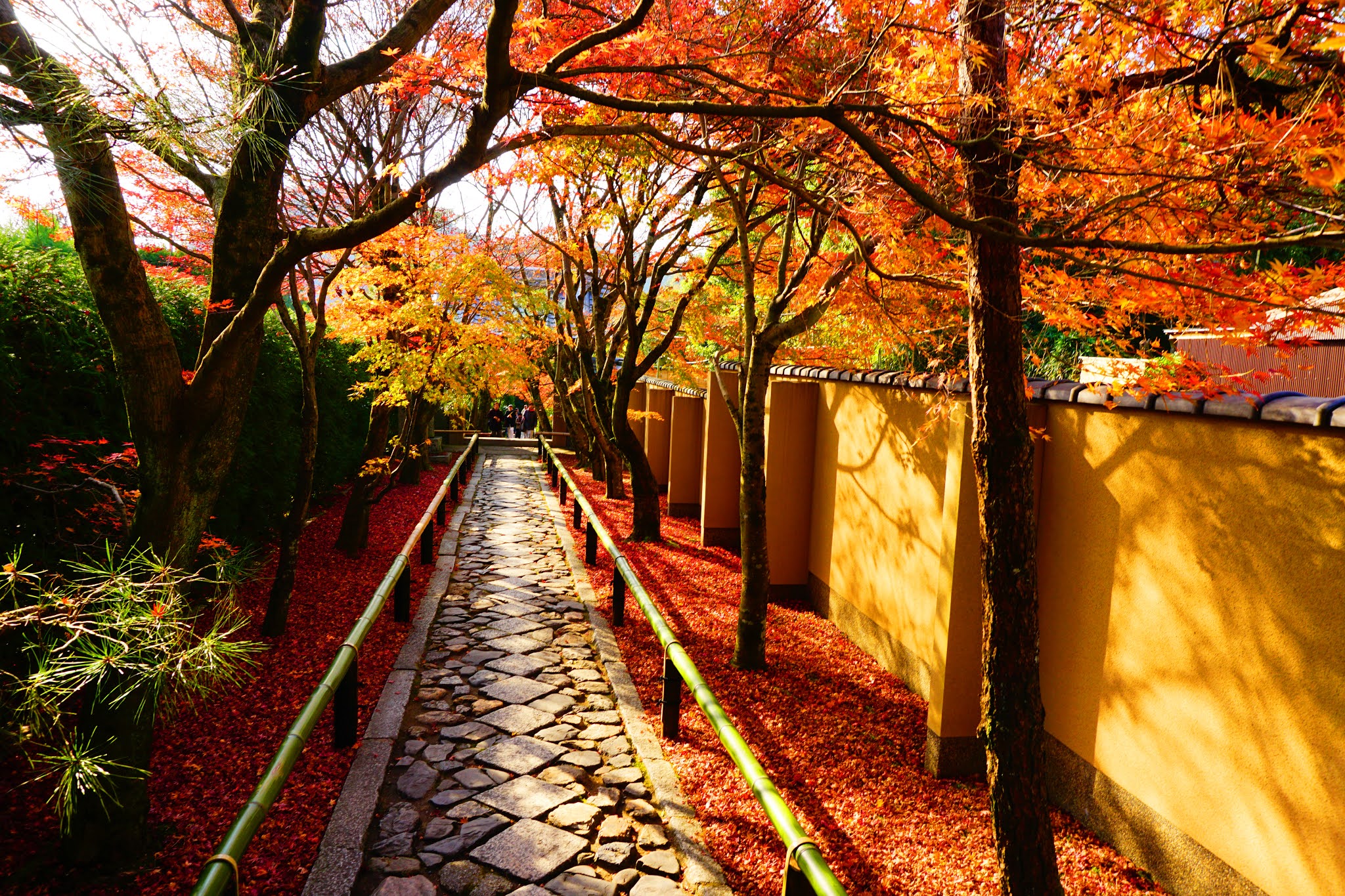 光悦寺 源光庵 常照寺 京都北区の穴場紅葉名所５選 前編