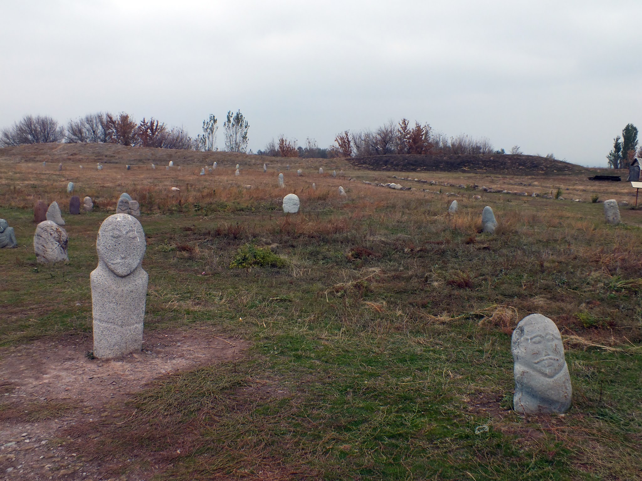 tokmok karabalasagun arasi