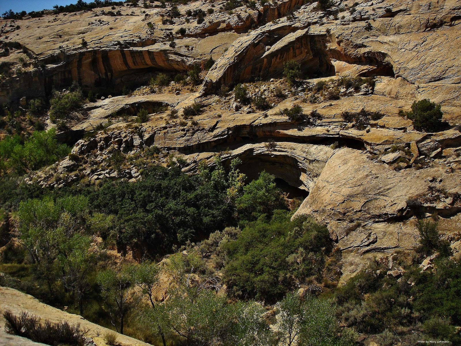 The Southwest Through Wide Brown Eyes: Butler Wash's Roadside Ruin ...