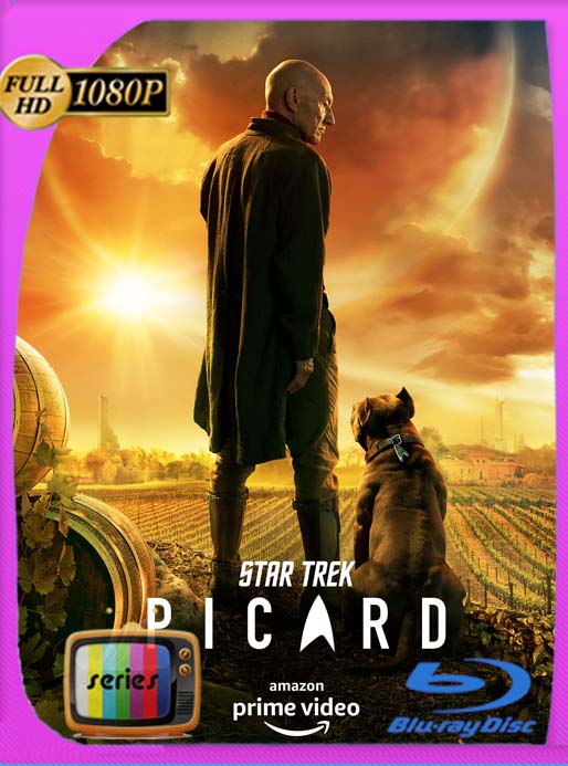 Star Trek: Picard Temporada 1-2-3 (2020) HD [1080p] Latino [GoogleDrive] SXGO