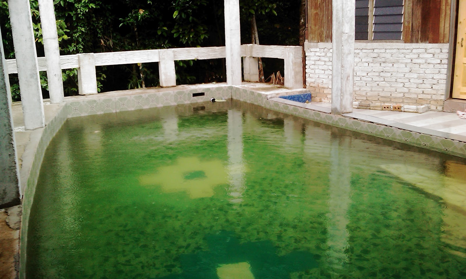 MY MALAYSIA PHOTOS Private Swimming Pool at Salak Denai Chalet, Yan, Kedah