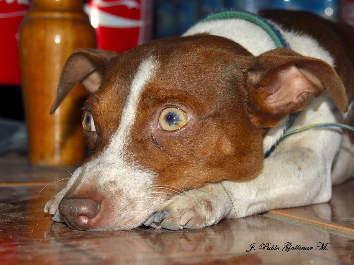 _DSC3743.JPG