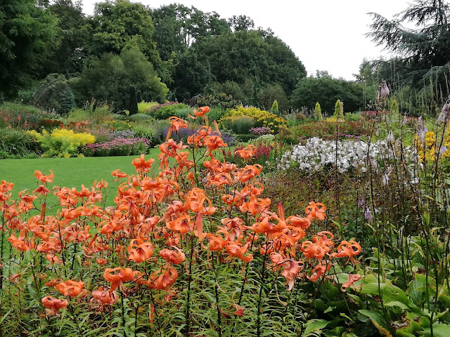 English gardens ogród angielski, angielska rabata bylinowa