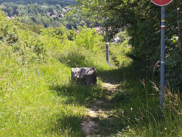 2019 - [CR] Via Senonensis : 5ème étape Joigny - Vézelay, les 08 et 09 juin 2019. IMG_20190608_144223