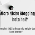 Micro Niche Blogging kya hota hai? Exact Match Domain ( EMD seo) tarike se micro niche domain name kaise kharide.