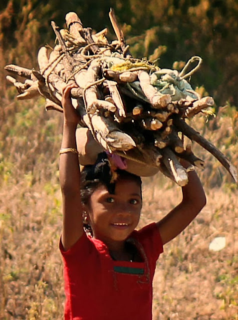 little girl carrying firewood