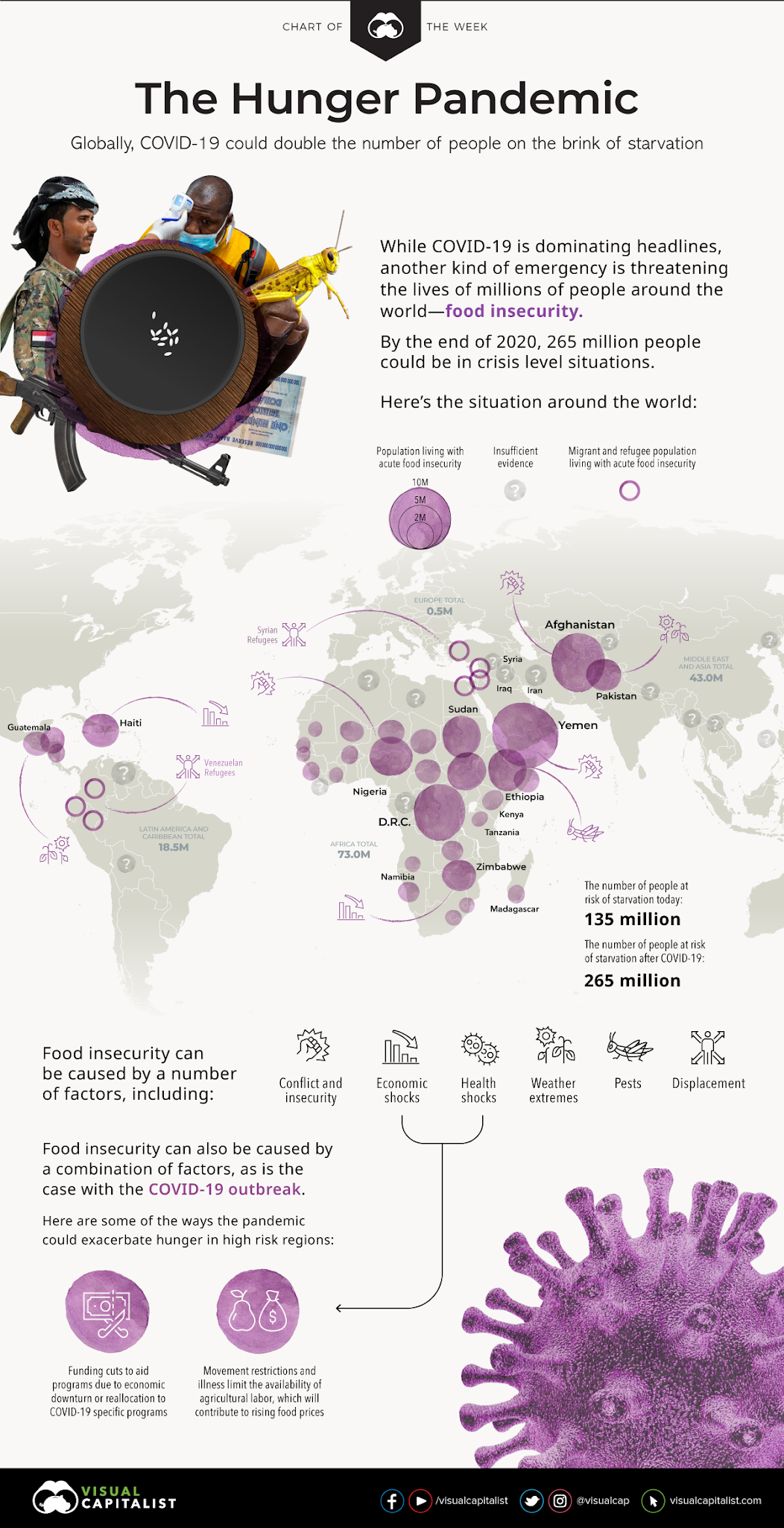 The Hunger Pandemic #infographic