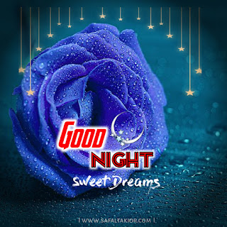 love rose flower good night images